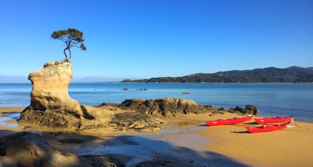 Tinline Beach, Abel Tasman, R&R Kayaks